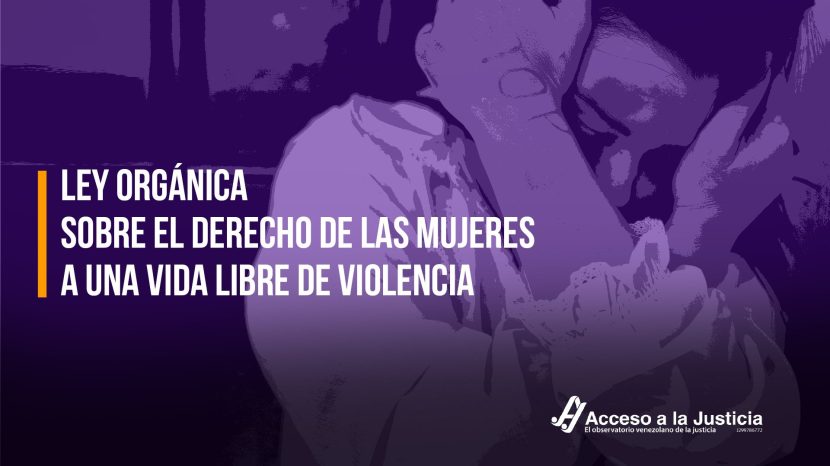 Ley-Orgánica-sobre-el-Derecho-de-las-Mujeres-a-una-Vida-Libre-de-Violencia