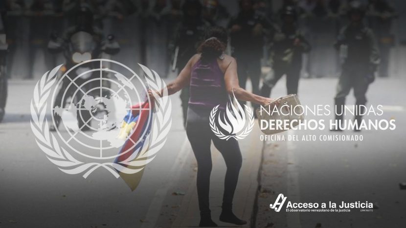 ALTO COMISIONADO DE LAS NACIONES UNIDAS PARA LOS DERECHOS HUMANOS (ACNUDH)
