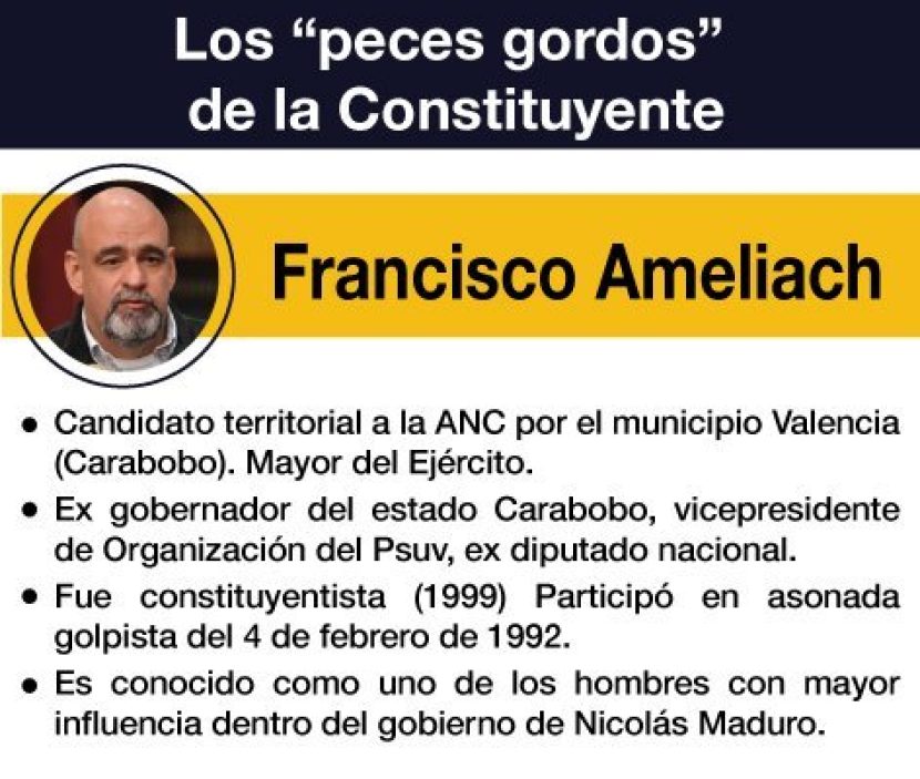 CONSTITUYENTE FRANCISCO AMELIACH
