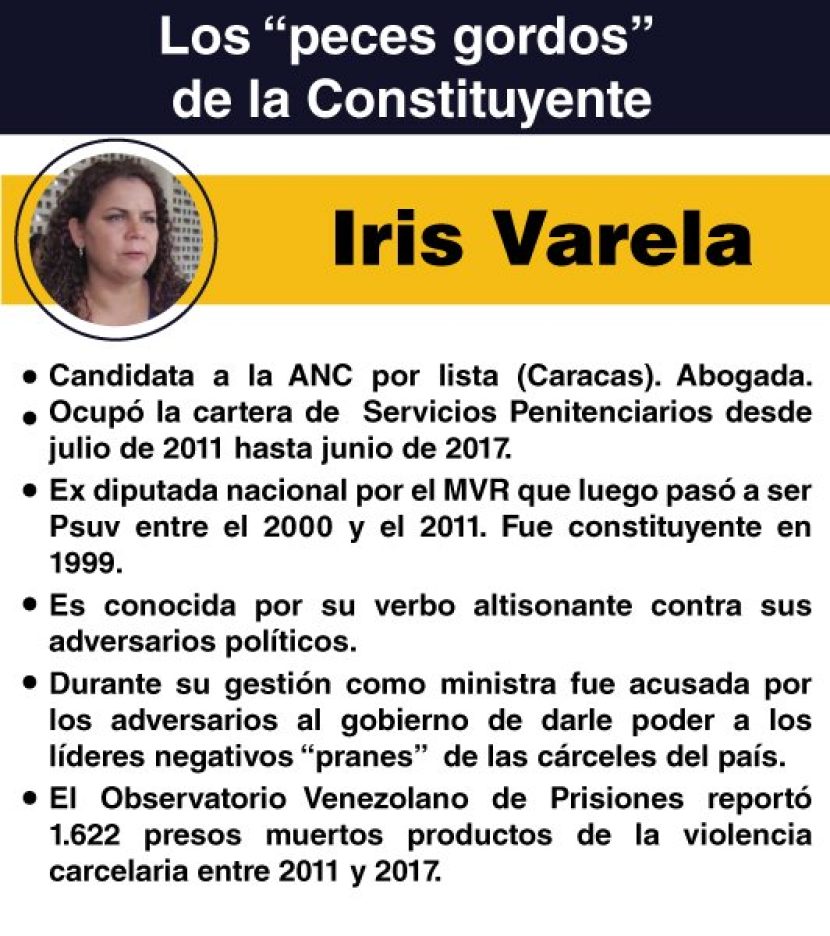 CONSTITUYENTE IRIS VARELA